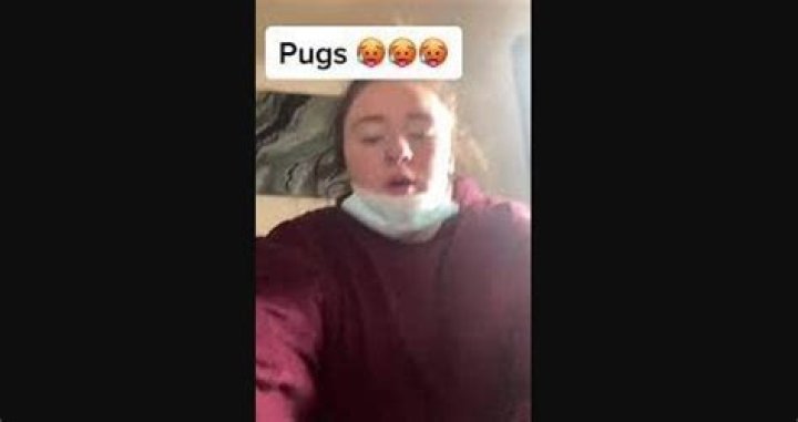 Bella Langford's Pug Video And Twitter Phenomenon