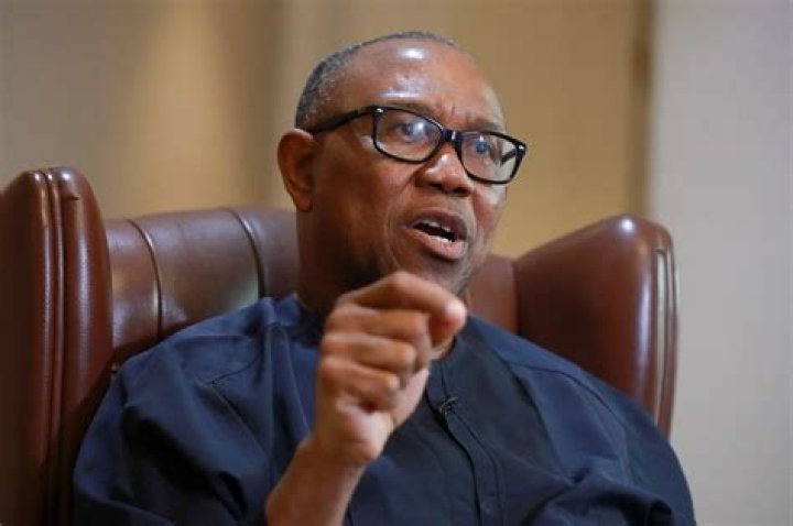 Uncovering The Private Lives Of Peter Obi's Children: Exclusive Insights Revealed